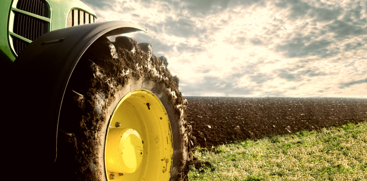 https://www.matteodaffada.it/wp-content/uploads/2021/02/agricoltura-1280x631.png