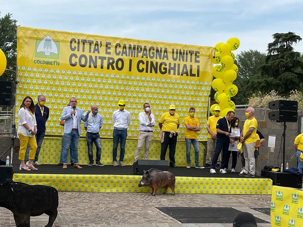 https://www.matteodaffada.it/wp-content/uploads/2021/07/Matteo-Daffadà-sul-palco-a-fianco-degli-agricoltori.jpg