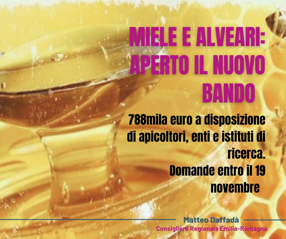 https://www.matteodaffada.it/wp-content/uploads/2021/08/Bando-Miele-e-alveari.jpg