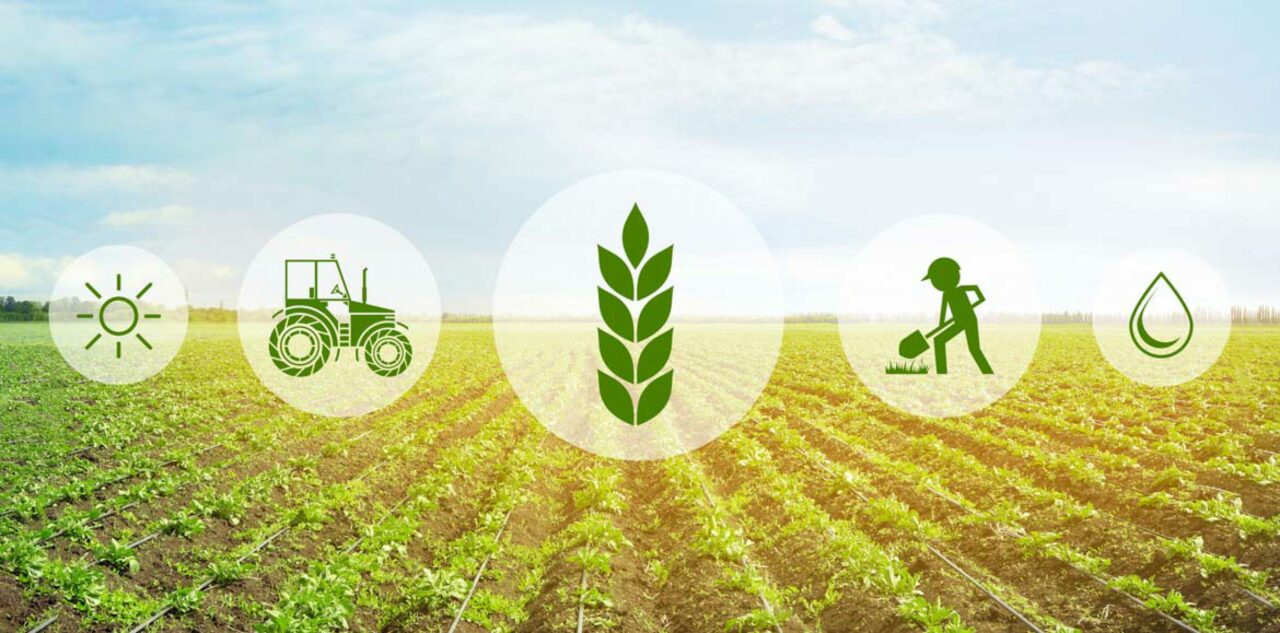 https://www.matteodaffada.it/wp-content/uploads/2023/02/agricoltura_precisione_1-3800x1880_c-1280x633.jpg