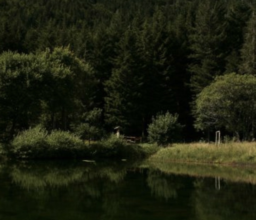 https://www.matteodaffada.it/wp-content/uploads/2024/02/Appennino.jpg